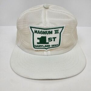 Vintage Swingster Snapback Trucker Patch Hat Magnum III 1st Dairyland Seeds Farm